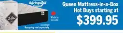 The Brick Springwall Autumn Tight Top Queen Mattress-in-a-Box offer