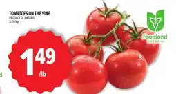 Metro TOMATOES ON THE VINE offer