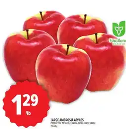 Metro LARGE AMBROSIA APPLES offer