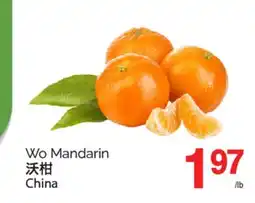 T&T Supermarket WO MANDARIN offer