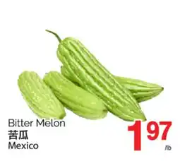 T&T Supermarket BITTER MELON offer