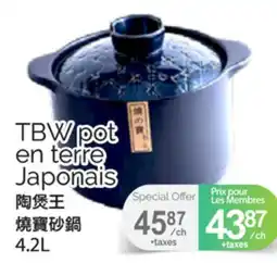 T&T Supermarket TBW POT EN TERRE JAPONALS, 4.2L offer