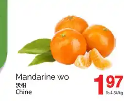 T&T Supermarket MANDARINE WO offer