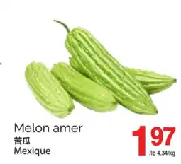 T&T Supermarket MELON AMER offer