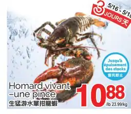 T&T Supermarket HOMARD VIVANT –UNE PINCE offer