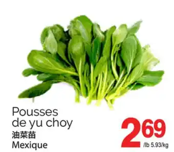 T&T Supermarket POUSSES DE YU CHOY offer