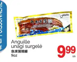 T&T Supermarket ANGUILLE UNAGI SURGELÉ, 9 OZ offer