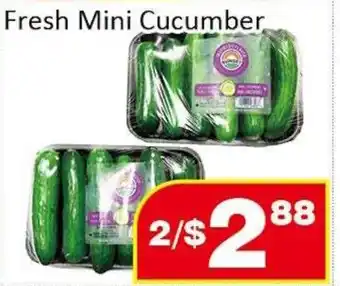 Jian Hing Supermarket Fresh Mini Cucumber offer