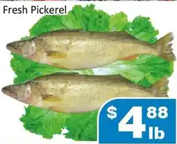 Jian Hing Supermarket Fresh Pickerel offer