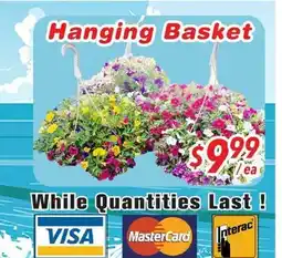 Bestco Food Mart Hanging Basket offer
