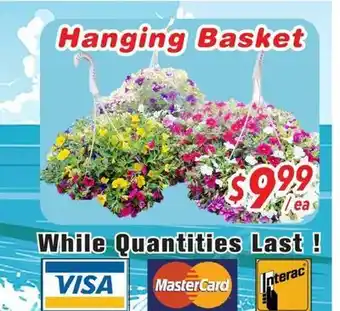 Bestco Food Mart Hanging Basket offer