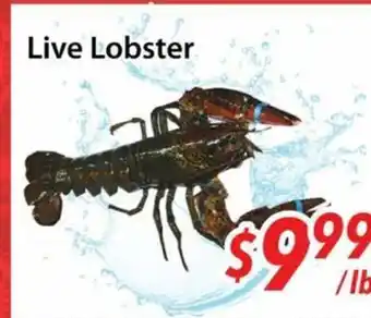 Bestco Food Mart Live Lobster offer