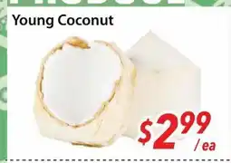 Bestco Food Mart Young Coconut offer