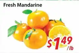 Bestco Food Mart Fresh Mandarine offer