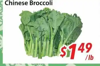 Bestco Food Mart Chinese Broccoli offer