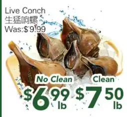 Ample Food Market Live Conch offer