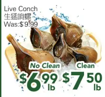 Ample Food Market Live Conch offer