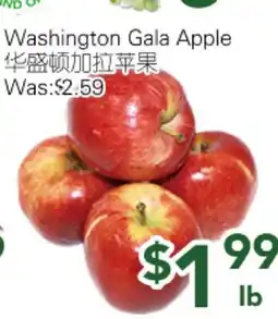 Ample Food Market Washington Gala Apple offer