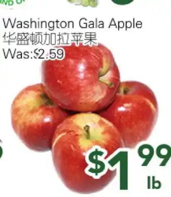 Ample Food Market Washington Gala Apple offer