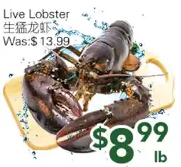 Ample Food Market Live Lobster offer