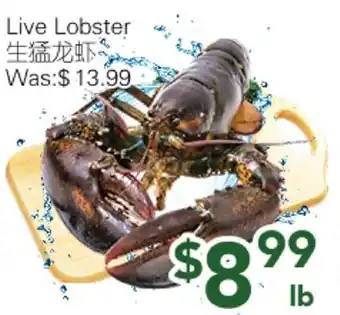 Ample Food Market Live Lobster offer