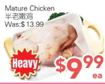 Ample Food Market Mature Chicken offer