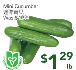 Ample Food Market Mini Cucumber offer
