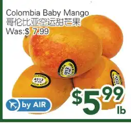 Ample Food Market Colombia Baby Mango offer