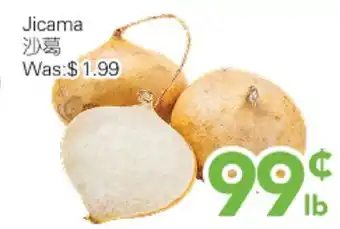 Ample Food Market Jicama offer