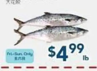 Oceans Fresh Food Market Baby King Fish Size offer