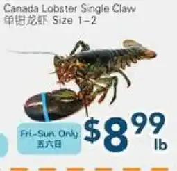 Oceans Fresh Food Market Canada Lobster Single Claw offer