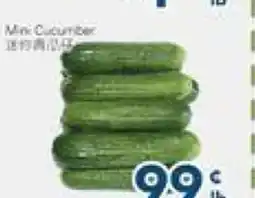 Oceans Fresh Food Market Mini Cucumber offer