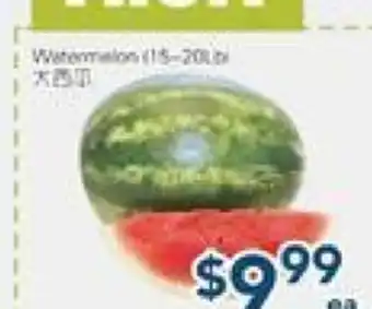 Oceans Fresh Food Market Watermelons offer