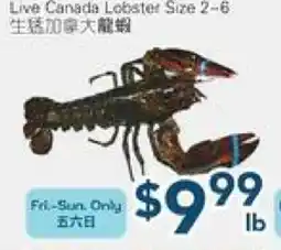 Oceans Fresh Food Market Live Canada Lobster offer