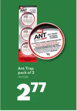 Matériaux Pont Masson ORTHO Ant Trap offer