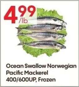 Lucky Supermarket Ocean Swallow Norwegian Pacific Mackerel offer