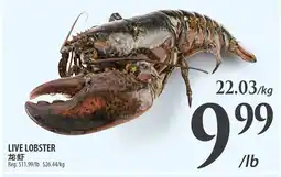 Al Premium Food Mart Live lobster offer