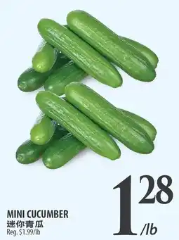 Al Premium Food Mart Mini cucumber offer
