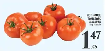 Al Premium Food Mart Hot house tomatoes offer