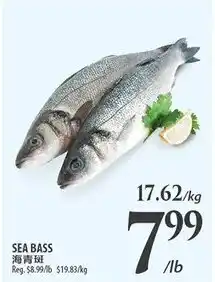 Al Premium Food Mart Sea bass offer