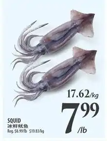 Al Premium Food Mart Squid offer