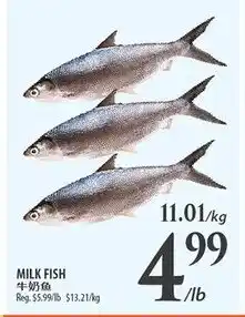 Al Premium Food Mart Milk fish offer
