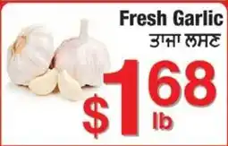 Fruiticana Fresh Garlic offer