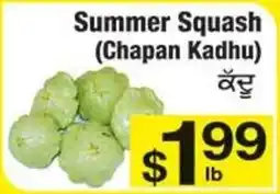 Fruiticana Summer Squash offer
