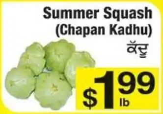 Fruiticana Summer Squash offer