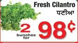 Fruiticana Fresh Cilantro offer