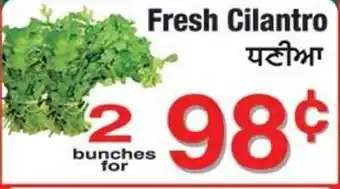 Fruiticana Fresh Cilantro offer