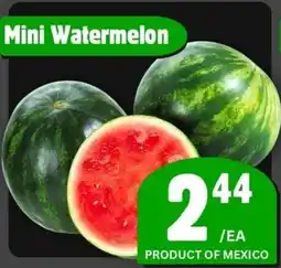 The Old Farm Market Mini Watermelon offer