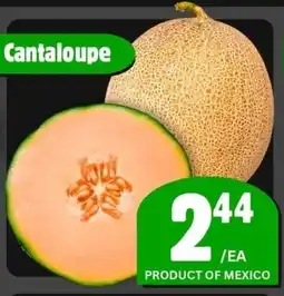 The Old Farm Market Cantaloupe offer