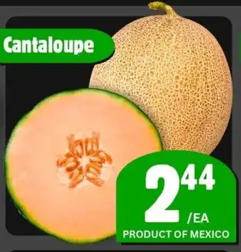 The Old Farm Market Cantaloupe offer